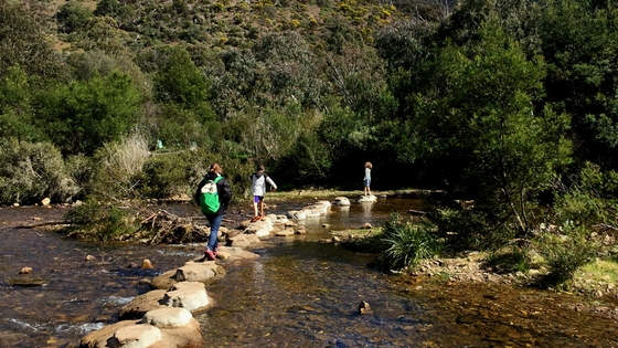 Lerderderg Gorge image by Duane. 560 x 315 pix